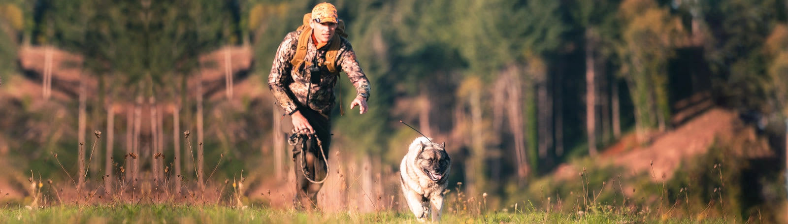 Dog Tracking